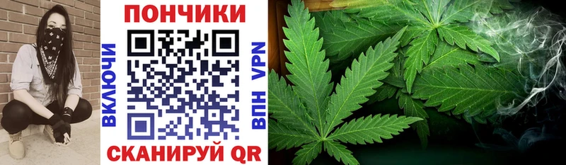 Купить закладки Кяхта Канабис THC 21%